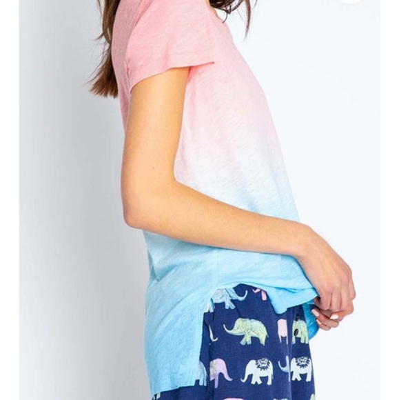 PJ Salvage Tee Short Sleeve Crew Neck Cotton Modal Blue Pink Sunset Ombre L NWT - Picture 10 of 12